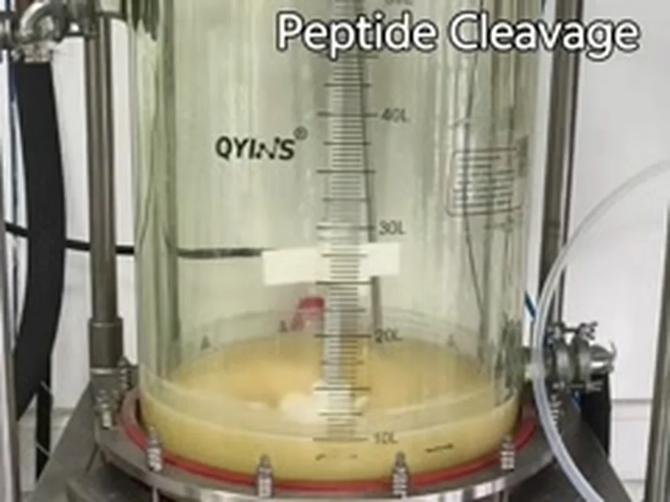 Peptide process equipment